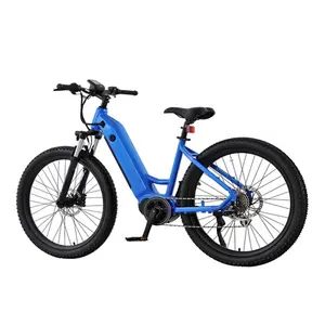 Yüksek güç kapalı yol elektrikli şehir bisikleti yetişkin iki tekerlekli 10.city şehir dağ elektrikli bisiklet ile