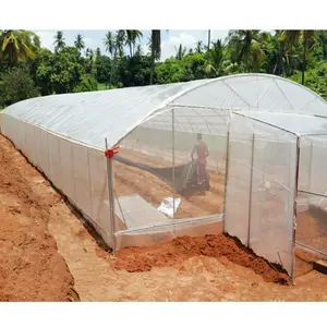 agriculture low cost single span PE Flim greenhouse for tomato plant