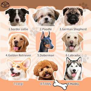 Cage pour chien en acier inoxydable <span class=keywords><strong>de</strong></span> qualité 304, résistante aux intempéries, pour l'extérieur, pour les races <span class=keywords><strong>de</strong></span> chiens <span class=keywords><strong>de</strong></span> grande taille, tels que le berger allemand et le golden retriever - Product Image 6