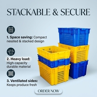 Boîte de rangement pliable en plastique avec surface peinte pour légumes et vêtements