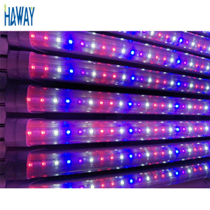 LEDグローライト屋内植物成長T8マルチスペクトル18w 20W 4ft 5ft 6ft 120 degree ttube8LEDライトチューブ - Product Image 6