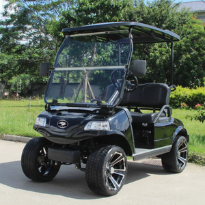 Nuevo Carro de Golf Eléctrico de 2 Plazas, el Mejor Carro de Golf con Batería de Litio, 4 Ruedas, 24 km/h, Capacidad de 300 kg - Product Image 1