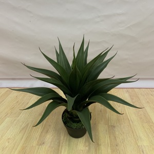 55Cm Thanh Lịch Bonsai Nhân Tạo Sang Trọng Hoàng Quan Lan Nhà Máy Cho Trang Trí Nội Thất Trong Nhà Và Ngoài Trời Trang Trí - Product Image 4