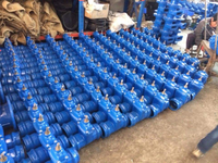 Vanne à opercule double GGG50 avec volant ou capuchon de tige, siège élastique pour tube PVC, raccordement 110 mm, PN10/16, direct usine