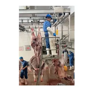Macello Halal macello di bufalo macellazione per macellaio di carne di manzo impianto di processo