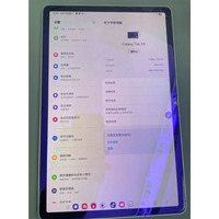 Premium pour Samsung Galaxy Tab S9 (11 pouces, Gris, 12 Go/256 Go) 99% comme neuf, excellent pour le travail professionnel et les entreprises