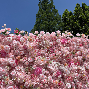 Panel <span class=keywords><strong>de</strong></span> Pared <span class=keywords><strong>de</strong></span> Flores Artificiales <span class=keywords><strong>de</strong></span> Rosas Rosadas para Bodas, Rollo <span class=keywords><strong>de</strong></span> Fondo <span class=keywords><strong>de</strong></span> Pared 3D 5D para Bodas, Panel <span class=keywords><strong>de</strong></span> Pared <span class=keywords><strong>de</strong></span> Flores Blancas <span class=keywords><strong>de</strong></span> 8 pies x 8 pies - Product Image 5