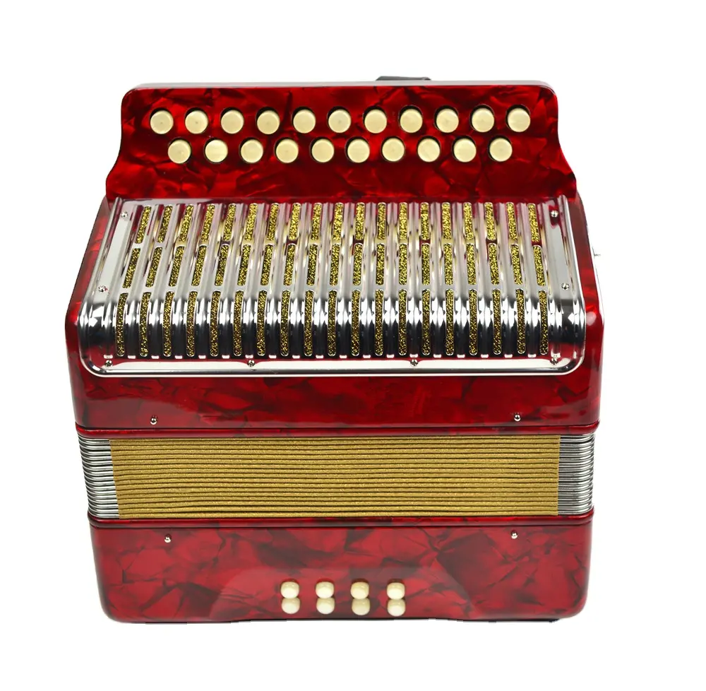 أكورديون بيانو, 21 مفتاح 8 Bass بيانو أكورديون مع أشرطة قابلة للتعديل آلة موسيقية للأطفال المبتدئين الأطفال هدايا الموسيقى
