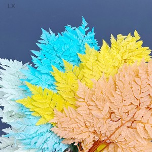 La migliore vendita di fiori secchi e <span class=keywords><strong>felce</strong></span> in pelle conservata per la decorazione della casa per la celebrazione del capodanno cinese - Product Image 4