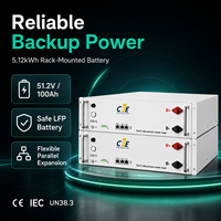Batterie LiFePO4 5kWh 51.2V 100Ah pour ESS Résidentiel, 6000 Cycles, Hybride, Montage Mural CAN pour Onduleurs Growatt