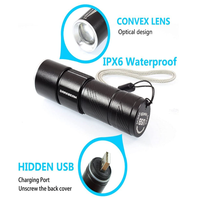 Lampu UV IPX5 tahan air untuk anjing, lampu UV 395nm led portabel 400nm Mini detektor untuk noda Urine hewan peliharaan