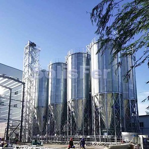 10-50ton Phễu dưới thức ăn nguyên liệu lưu trữ Thùng mạ kẽm thép Ngô thức ăn Silo cho trang trại gà ăn - Product Image 6