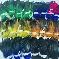 Plumes de coq colorées teintées, enfilées, 25-30 cm, pour la pêche à la mouche, matériaux et accessoires de montage de mouches.