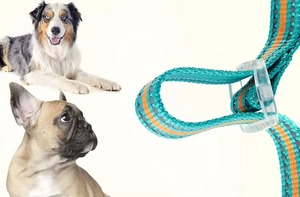 Aksesoris Anjing UFBemo, Set Kalung dan Tali Anjing LED Bercahaya dengan Lampu untuk Anjing - Product Image 4