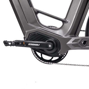 Vélo de ville sportif <span class=keywords><strong>en</strong></span> fibre de carbone <span class=keywords><strong>EN</strong></span> <span class=keywords><strong>15194</strong></span>+CE, moteur arrière sans balais 750W, batterie au lithium 48V 20Ah, freins à disque hydrauliques 7 vitesses - Product Image 5