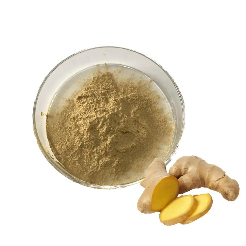High Quality Ginger Extract powder 5% Gingerols Powder Ginger Root Extract Powder
