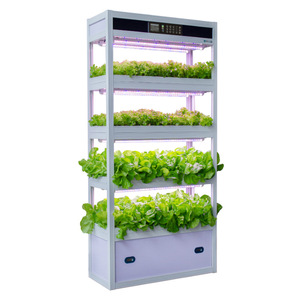Sistema de Cultivo Hidropónico Vertical, Granja Inteligente de Vegetales para Interiores con Luz LED de Cultivo - Product Image 6