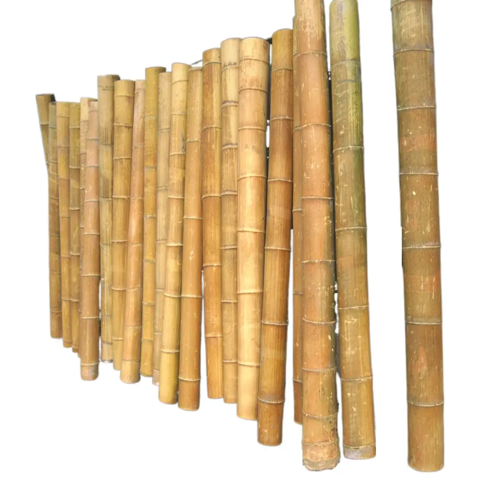 巨大な竹の幹、大きな竹の柱、生の竹素材の大径