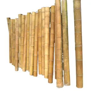 Giant Bamboo Trunks, Large Bamboo Poles, Raw Bamboo Material Large Diameter