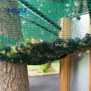 Olive Net 8x12 For Agriculture Tree Collect Netting