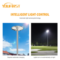 Prix d'usine, éclairage extérieur pour pelouse et aménagement paysager, étanche IP65, boîtier en aluminium, panneau solaire 5V, 100W 200W, lampes solaires de jardin LED