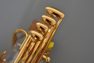 Clarinetto in Si Bemolle di Alta Qualità con Corpo Tubolare Trasparente e Chiavi Placcate in Oro, Clarinetto in Acrilico per Musicisti - Product Image 5