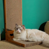Tapis à gratter pour chat en bois, classique, moderne, vertical, ondulé, boule rectangulaire en carton, fournitures pour animaux de compagnie