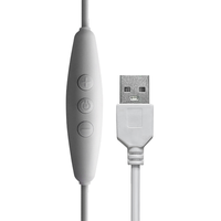 Vente en gros DC 5V RGB LED Gradateur Port USB Ligne d'alimentation Gradation Câble d'extension de couleur assortie avec adaptateur de commutateur marche/arrêt