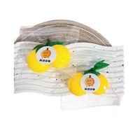 Jouets Squishy en Forme de Fruits à Rebond Lent 2025 - Design Réaliste Fraise Pêche en Matière TPR, Cadeau Original Anti-Stress