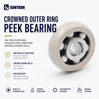 Roller Pemandu Berlapis PEEK dengan Cincin Dalam Baja Tahan Karat dan Bola Keramik ZrO2 untuk Peralatan Otomasi