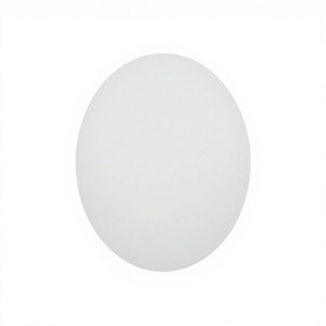 แคลเซียมคาร์บอเนต (CaCO3) เกรดอุตสาหกรรมคุณภาพสูง เกรดอาหาร สำหรับการเคลือบพลาสติก ยี่ห้อ Nhat Thang VNT 7 รุ่น VNT-3C - Product Image 1