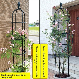 Supporto per Piante Rampicanti, Scaffale per Clematidi, Struttura di Supporto per Rose e Piante da <span class=keywords><strong>Giardino</strong></span> - Product Image 3