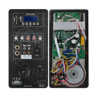Module d'amplification actif professionnel Accuracy Pro Audio 8AOH-100W avec DSP pour enceinte active