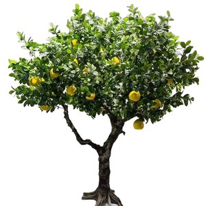 L-208 Citronniers Artificiels Décorés de Fruits, Ornements Intérieurs et Extérieurs pour Hôtels, Aménagements Paysagers, Vitrines de Magasins, Jour de Mariage - Product Image 6