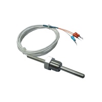Sonde de température industrielle WZP291 WRN 1/2 3/4 pouce à vis, 3 fils, Pt100 RTD, thermocouple en acier inoxydable