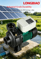 Pompe centrifuge solaire de surface DC JCPM haute efficacité 1,5 CV 26m³/h pour l'alimentation en eau domestique avec relance automatique et protection contre les surcharges