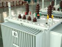 Transformateur électrique immergé dans l'huile, transformateur à bobine ronde à trois enroulements, modèle S13/S14, 50 Hz, 10,5 kV, transformateur de puissance industriel