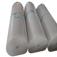 Feuille de drainage de panneau de drainage alvéolé HDPE en plastique de 2m de largeur Feuille de filtre de drainage de hauteur de 10mm avec géotextile pour tunnel