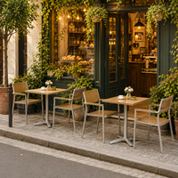 FLD2062 + FLD2089 Ensemble de table et chaises de bistrot pliantes 2 places pour café en plein air, idéal pour les cafés de rue