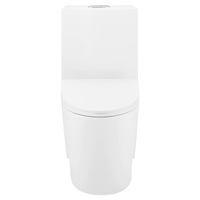 Ensemble de toilettes et de lavabos en céramique chinoise moderne à double chasse Homedec pour salle de bain