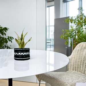Maceta Decorativa para Interiores, Elegante Macetero Negro para Decoración del Hogar, Oficina, Escritorio, Mesa, Sala de Estar, Soporte para Plantas Verdes - Product Image 3