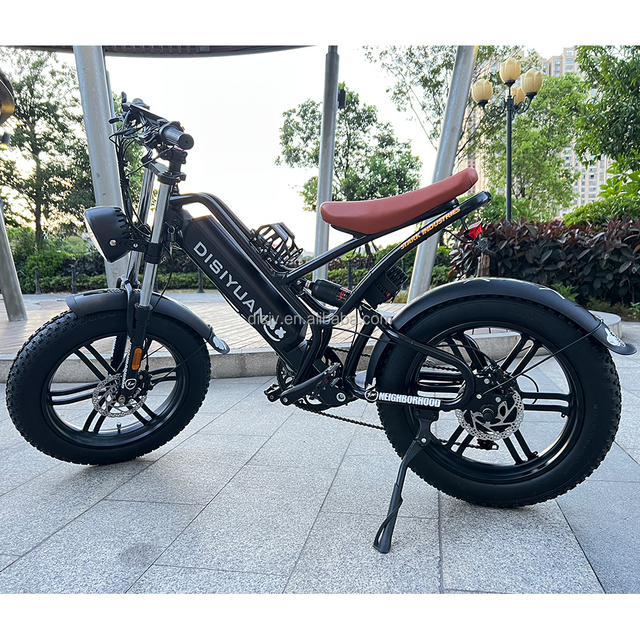 Super Powerful Long Range Dirt Mountain 73 Lithium Battery Electronic E Bike Electric Bicycle DISIYUAN