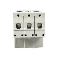 Disjoncteur Miniature série NXB-63 CHNT NXB-63 3P C25 petit RCBO/MCCB/RCB avec courant nominal 25A et Protection LI