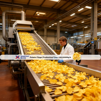 Uitstekende kwaliteit volautomatische productielijn voor aardappelchips met hoge productiviteit (1000 kg)/machine voor het maken van verse aardappelchips
