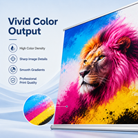 Tinta Eco Solvente para Impresoras de Formato Ancho Galaxy, Skycolor y Allwin, 1L CMYK, Suministro de Impresión para Pancartas de Vinilo, Colores Vívidos