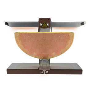 Fondeur de fromage à <span class=keywords><strong>raclette</strong></span> Machine à <span class=keywords><strong>raclette</strong></span> électrique commerciale Machine à vaisselle <span class=keywords><strong>suisse</strong></span> Demi Melting Warmer pour Half Nacho Cheese - Product Image 2