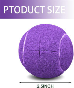 Glissières <span class=keywords><strong>de</strong></span> luxe pré-coupées pour balles <span class=keywords><strong>de</strong></span> <span class=keywords><strong>tennis</strong></span> pour marcheurs, accessoires universels pré-coupés pour personnes âgées, excellents cadeaux - Product Image 3