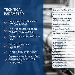 Actuador de Motor Eléctrico Inteligente Multidireccional con Menú en Ruso - Product Image 4