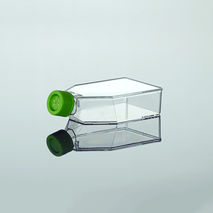 De tejido de plástico cultura matraces erlenmeyer de Tratados de <span class=keywords><strong>la</strong></span> cultura de tejido frasco - Product Image 6