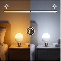 Ampoule LED RUEA RD-01 rechargeable à télécommande intelligente, température de couleur réglable, Ra70-80, dimmable, DC5V, culot PC E27